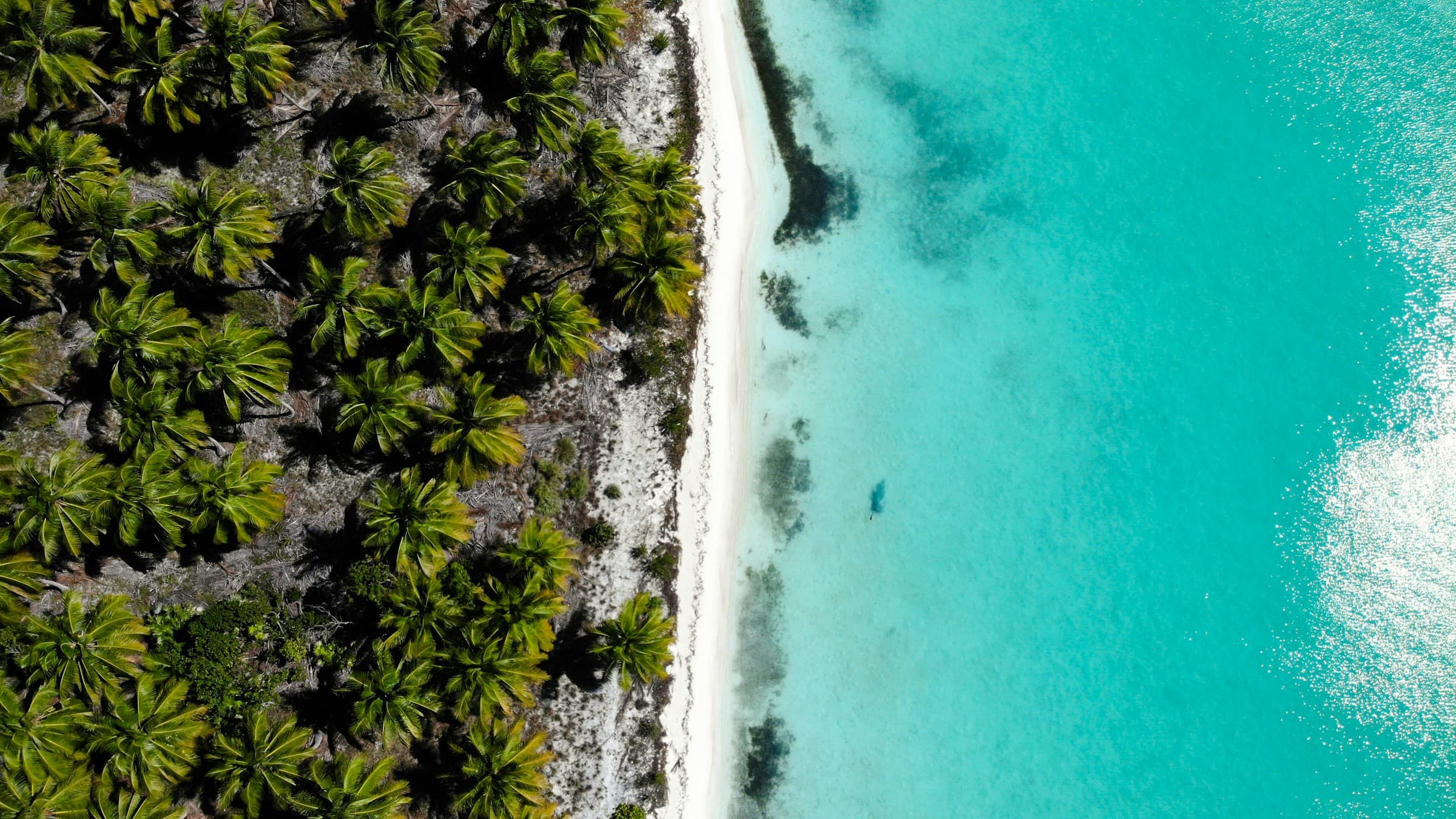Vista aérea de la costa turquesa de Punta Cana