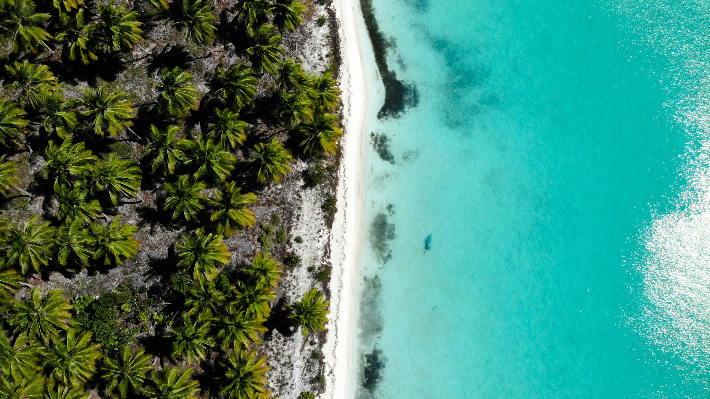 Punta Cana